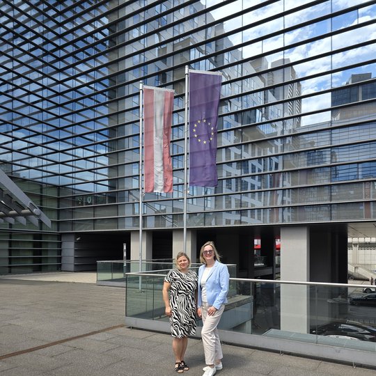 Iliustracija